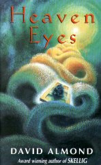 Heaven Eyes book cover