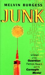 Junk book cover