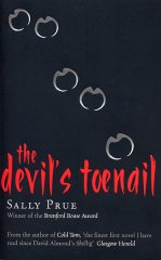 The Devil's Toenail book cover